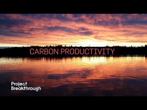 Carbon Productivity
