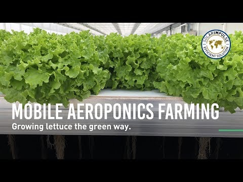 Mobile Aeroponics Farming - #1000solutions